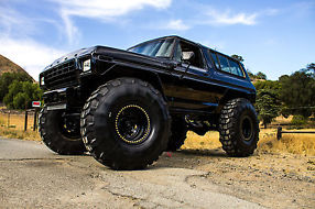 Ford bronco monster trucks #9