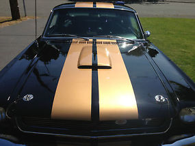 Ford : Mustang Standard image 1