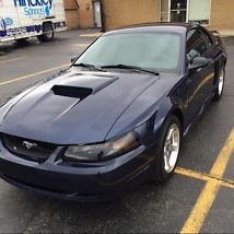 2003 ford mustang gt 42,500 miles supercharged,cam,gears,bilstein shocks struts image 6
