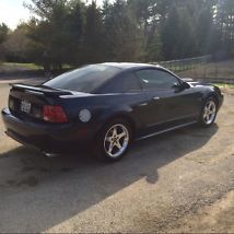 2003 ford mustang gt 42,500 miles supercharged,cam,gears,bilstein shocks struts image 7