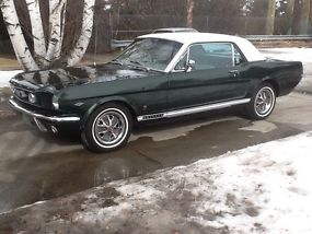 Ford : Mustang Gt