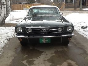Ford : Mustang Gt image 7