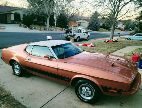 1973 Ford Mustang Mach 1 image 2
