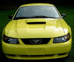 2002 GT,Rare Zinc Yellow,4.6L V-8,Auto,Leather,Premium Mach1 Stereo,1 Owner,Mint image 7