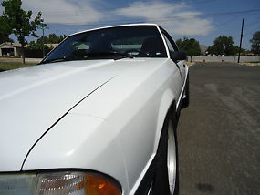 1991 Saleen Mustang #038 image 7