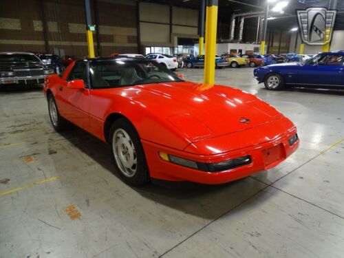 RED 1995 Chevrolet Corvette350 CIAutomatic Available Now! image 8