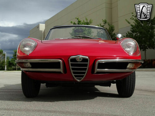Red 1967 Alfa Romeo Spider1570 cc 4 CYL 5 Speed Manual Available Now! image 3