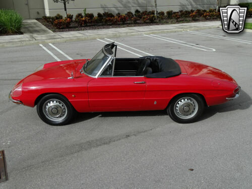 Red 1967 Alfa Romeo Spider1570 cc 4 CYL 5 Speed Manual Available Now! image 4