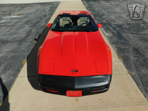 Red 1995 Chevrolet Corvette350 cubic inch LT1 V8 6 speed manual Available Now! image 2
