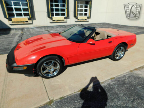 Red 1995 Chevrolet Corvette350 cubic inch LT1 V8 6 speed manual Available Now! image 5