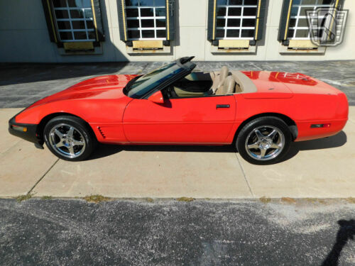 Red 1995 Chevrolet Corvette350 cubic inch LT1 V8 6 speed manual Available Now! image 6