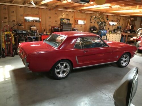 1964 1/2 Mustahg Coupe Project image 1