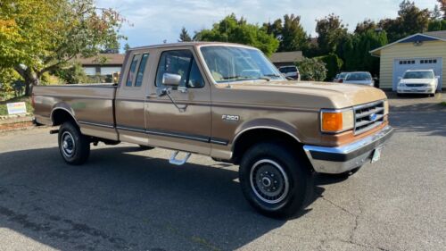 1989 ford f-250 image 1
