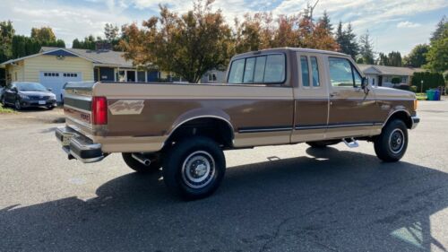 1989 ford f-250 image 2