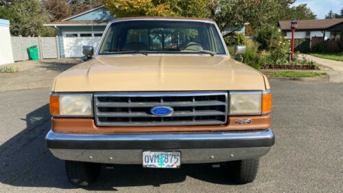 1989 ford f-250 image 6