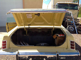 1976 Ford LTD 2 door image 5