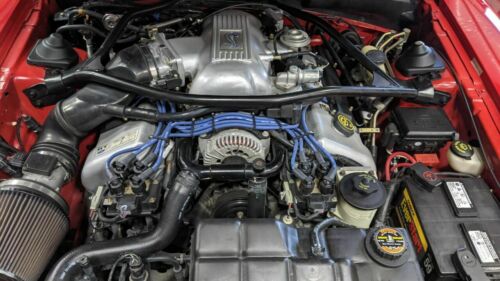 1997 Ford Mustang SVT Cobra Base 2dr Fastback 36000 Miles Red Coupe 4.6L V8 Manu image 3