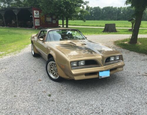 1978 Pontiac Trans Am Gold Edition Y88 image 1