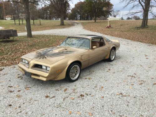 1978 Pontiac Trans Am Gold Edition Y88 image 2
