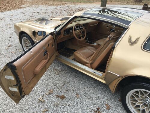 1978 Pontiac Trans Am Gold Edition Y88 image 5