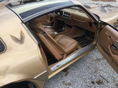 1978 Pontiac Trans Am Gold Edition Y88 image 7