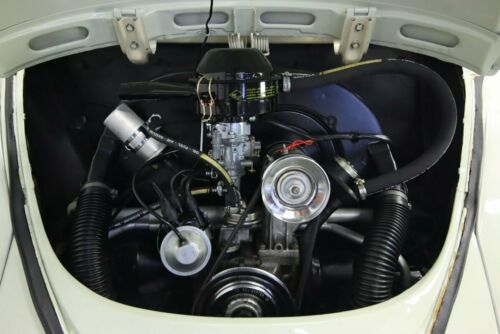 1300 CC 4 SPEED FRESH OUT OF RESTORATION LARGE VW COLLECTION QUALITY BUG image 3