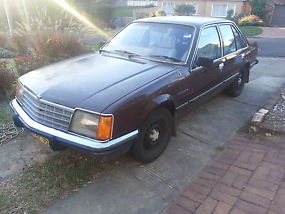 Holden Commodore VB 1979 3.3auto rego until 1st sept wont need pink slip march15