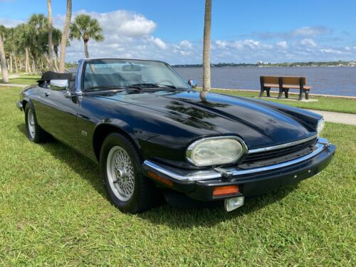 Florida! 90K. Miles! Part of a Collection. Amazing Condition! Service Records. image 3